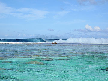 LAGOON