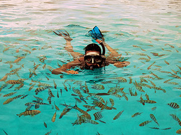 SNORKELING